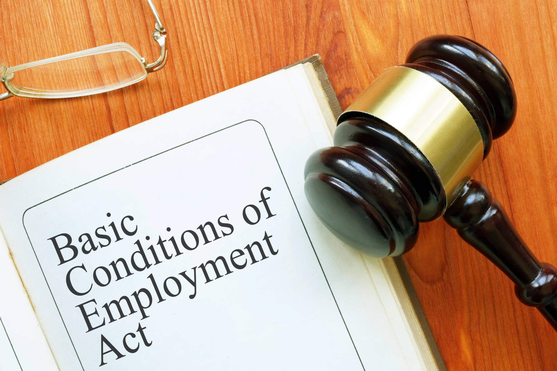 Basic Conditions of Employment Act 